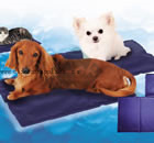 pet ice mat